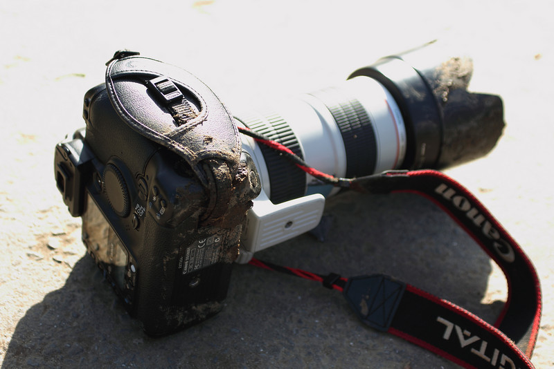 IMAGE: http://arroshotz.smugmug.com/photos/1157611493_nKxqZ-L.jpg