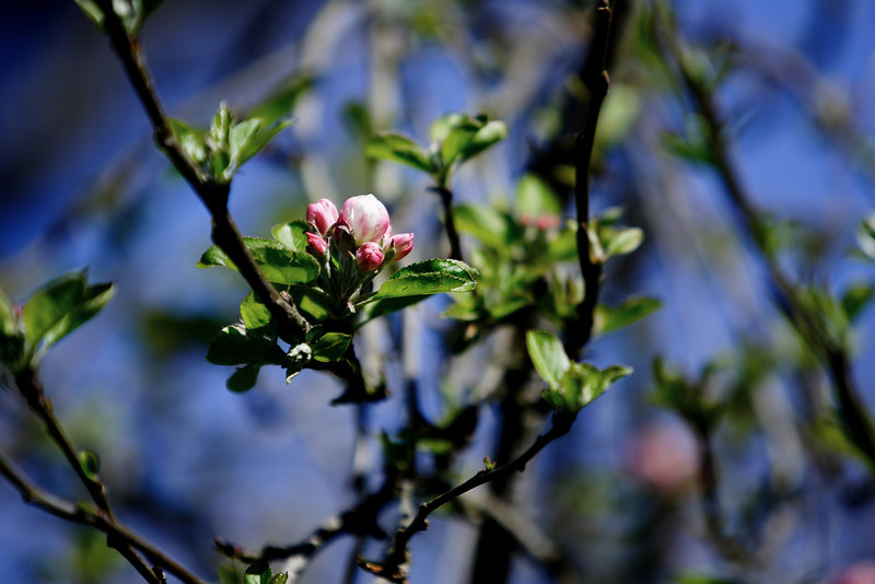 IMAGE: http://arroshotz.smugmug.com/photos/1232541026_jj8En-L.jpg