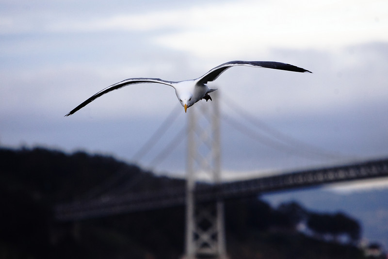 IMAGE: http://arroshotz.smugmug.com/photos/785832432_wvrQZ-L.jpg